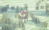 Animal Photo screenshot, image №2748833 - RAWG
