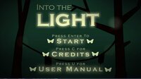 Into the light (itch) (CarolinFritz) screenshot, image №2393648 - RAWG