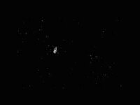 Chutes 'N Cannons screenshot, image №2422681 - RAWG
