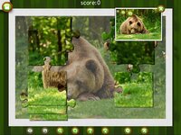 1001 Jigsaw. Wild Animals screenshot, image №3949393 - RAWG