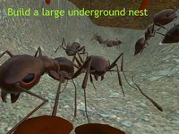 Ant Simulator 3D screenshot, image №934794 - RAWG