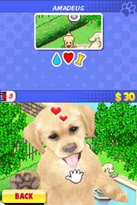 Me And My Dogs: Friends Forever screenshot, image №253870 - RAWG