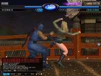 Dead or Alive Online screenshot, image №480272 - RAWG