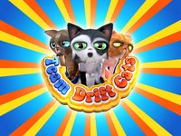 Team Drift Cats screenshot, image №1469209 - RAWG