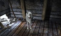 Nancy Drew: The White Wolf of Icicle Creek screenshot, image №98055 - RAWG