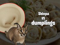 Shlepa VS Dumplings screenshot, image №3748123 - RAWG