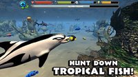 Dolphin Simulator screenshot, image №1560766 - RAWG