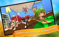 Team Drift Cats screenshot, image №1469204 - RAWG