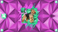 Poly Jigsaw: Dogs screenshot, image №3886014 - RAWG