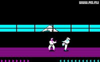 Karateka (1985) screenshot, image №296446 - RAWG