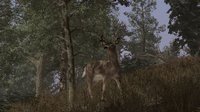 Pro Deer Hunting screenshot, image №2280373 - RAWG