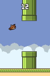 Flappy Squirrel (itch) screenshot, image №1093941 - RAWG