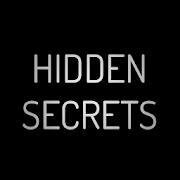 Hidden Secrets screenshot, image №3276948 - RAWG