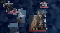 Puzzles for smart: Cats screenshot, image №859342 - RAWG