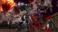 Ninja Gaiden II screenshot, image №514269 - RAWG