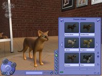 The Sims 2: Pets screenshot, image №457871 - RAWG