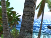 Pirate Hunter screenshot, image №393249 - RAWG