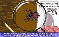 Arachnophobia (1991) screenshot, image №747368 - RAWG