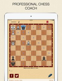 Mate in 2? OK! v.3 screenshot, image №1742417 - RAWG