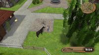 My Riding Stables: Life with Horses screenshot, image №204757 - RAWG
