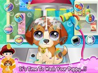 New Born Pet Rescue screenshot, image №1757264 - RAWG