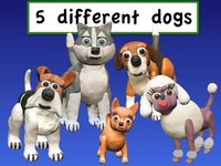 Agility Dogs Lite screenshot, image №1802032 - RAWG