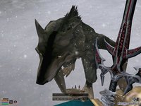 The Elder Scrolls 3: Bloodmoon screenshot, image №362010 - RAWG