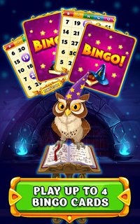 Wizard of Bingo screenshot, image №2075820 - RAWG