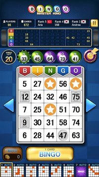 Bingo Master King screenshot, image №1578892 - RAWG