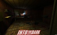 Into the Dark screenshot, image №601615 - RAWG