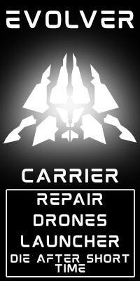 Evolver Ship screenshot, image №3527709 - RAWG