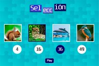 Puzzle Game (raul977) screenshot, image №1284823 - RAWG