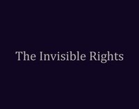 The Invisible Rights screenshot, image №3836620 - RAWG