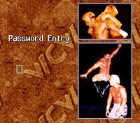 WCW SuperBrawl Wrestling screenshot, image №763241 - RAWG