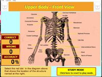 Label that Diagram - Human Sleleton 2 - Med screenshot, image №3625871 - RAWG