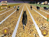 Greyhound Racing Tournament 2 screenshot, image №1989904 - RAWG