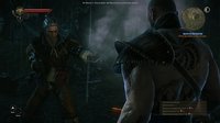 The Witcher 2: Assassins of Kings screenshot, image №534249 - RAWG
