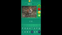 Animalia - The Quiz Game screenshot, image №661147 - RAWG