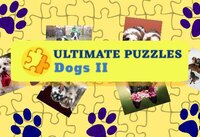 Ultimate Puzzles Dogs 2 screenshot, image №3006051 - RAWG