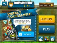 Super Kiwi Castle Run screenshot, image №917662 - RAWG