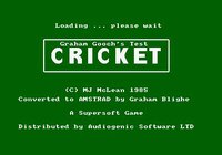 Graham Gooch's All Star Cricket screenshot, image №755256 - RAWG