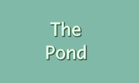 The Pond (Funeral Pyre Games) screenshot, image №3028000 - RAWG