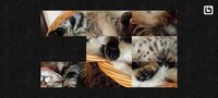 Cazzle - Sleeping Cat Puzzles screenshot, image №3537291 - RAWG