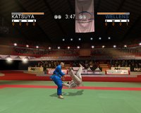 David Douillet Judo screenshot, image №444211 - RAWG