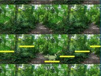 aligator game screenshot, image №2478731 - RAWG