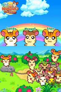 Hi! Hamtaro: Ham-Ham Challenge screenshot, image №3099074 - RAWG