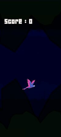 Bird Of Death screenshot, image №3415983 - RAWG