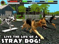 Stray Dog Simulator screenshot, image №957335 - RAWG