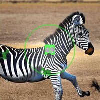 Zippy Zombie Zebras screenshot, image №3590112 - RAWG