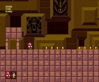 Knuckles In South Land screenshot, image №2264981 - RAWG